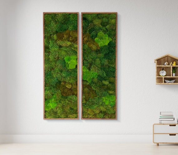 プリザーブドモスのウォールアート：ナチュラルな室内植物の装飾