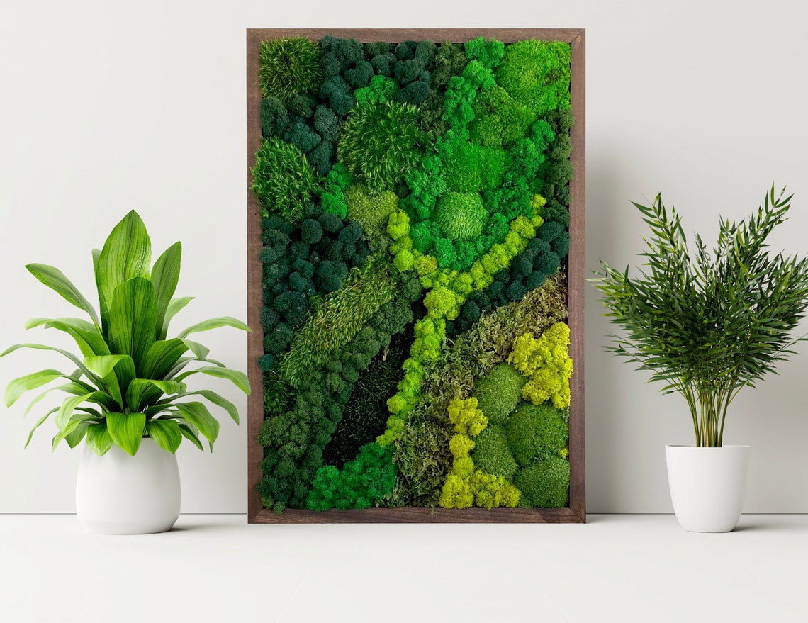 Moss Wall Art. Moss Frame. Preserved Moss. Moss Art Etsy Canada