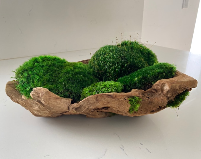 Moss Bowl Centerpiece, Unique Form Wood Bolw, Table Centerpiece Etsy