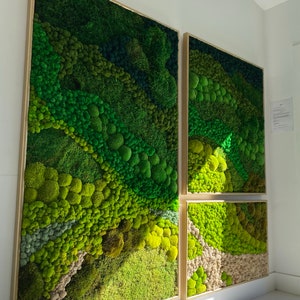 Living Moss Wall Art w/Amaranthus – LottaCoco Creation's LLC