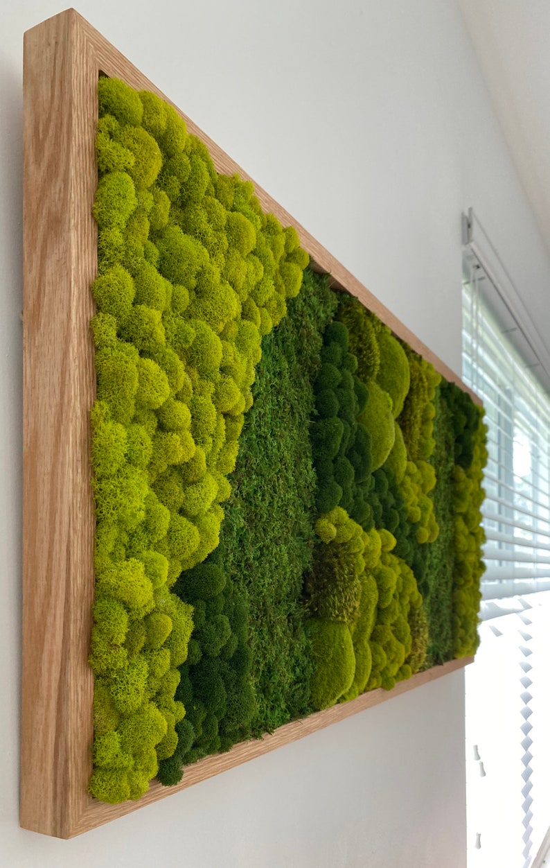 Moss Wall Art. Large Moss Frame. Green Wall Art. Wall Decor. Etsy