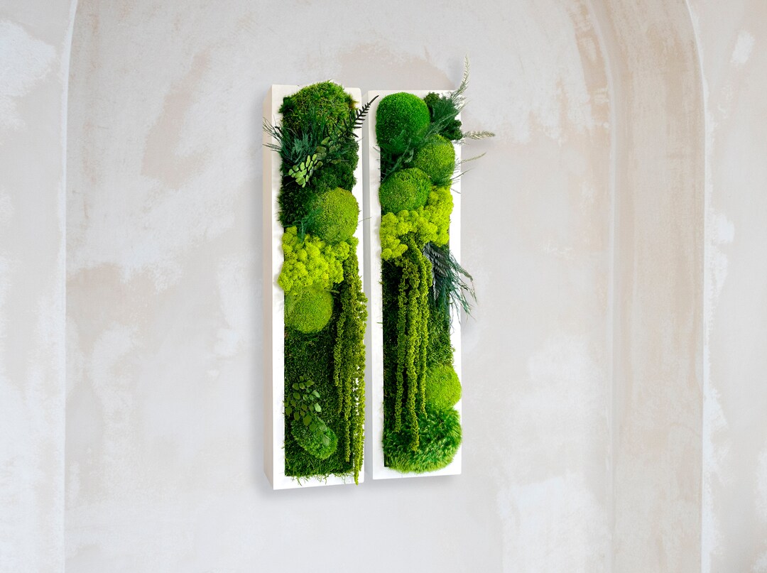 Moss Wall Art. Moss Wall. Moss Art Panels. Green Wall Art. Etsy UK