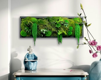 Preserved Moss Wall Art: Oak Frame, Ferns & Amaranths
