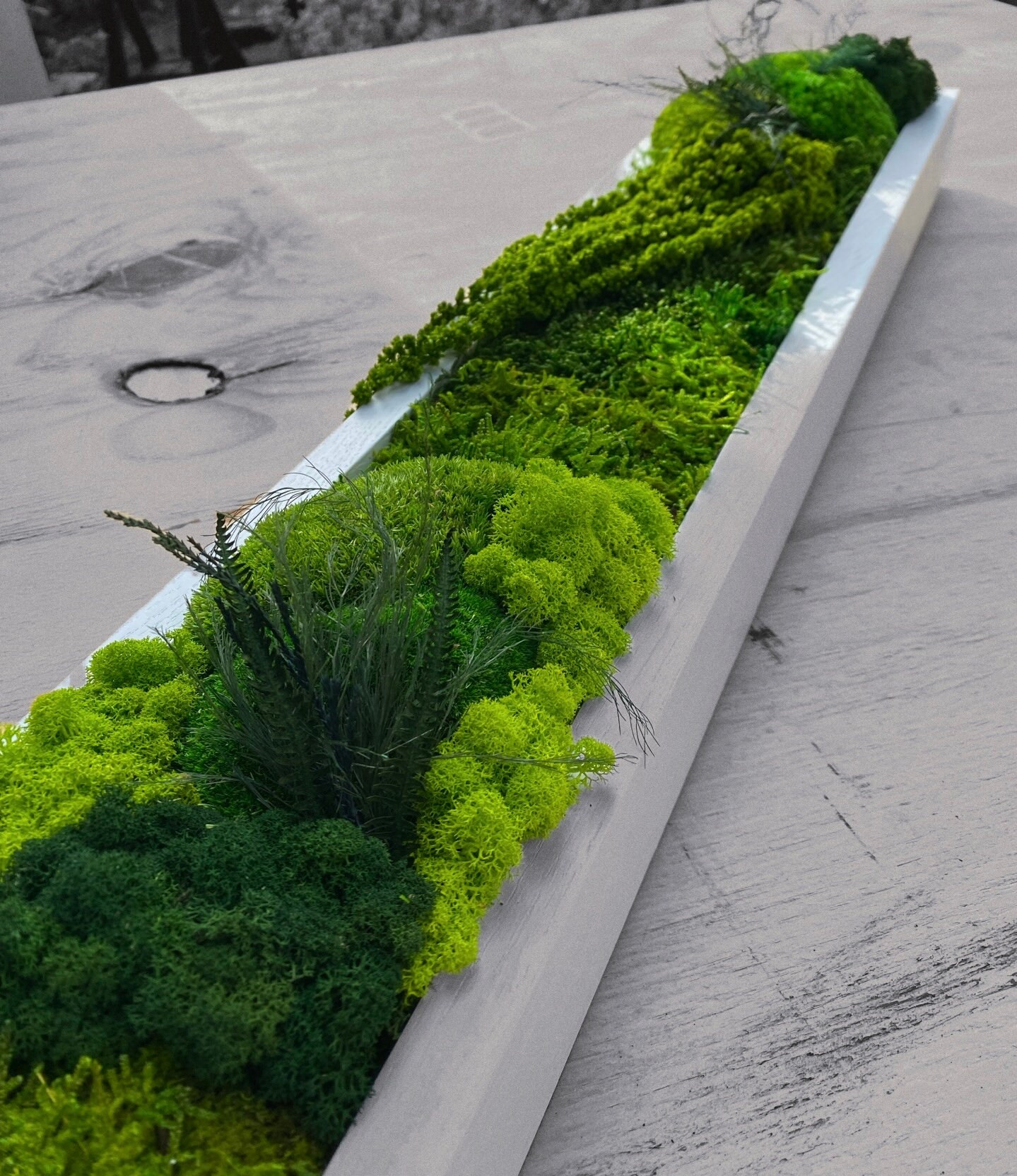 Moss Wall Art. Moss Wall. Moss Art Panels. Green Wall Art. Etsy UK