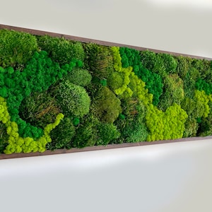 Moss art.  Green wall. Preserved Moss. Plant wall