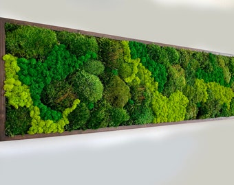 May include: A framed moss wall art piece with a variety of green moss textures and shades. The moss is arranged in a flowing, organic pattern.