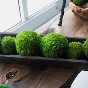 May include: A wooden trough filled with six spherical, vibrant green moss balls. The balls vary in size and are arranged in a dark brown, rectangular wooden container. The arrangement sits on a wooden surface.