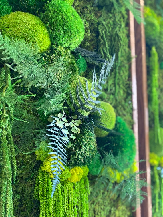 Moss Wall Art. Moss Art. Preserved Moss. Living Wall. Plant Wall