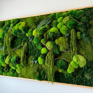 Preserved Moss Wall Art: Pillow, Mood, Ball Moss & Fern