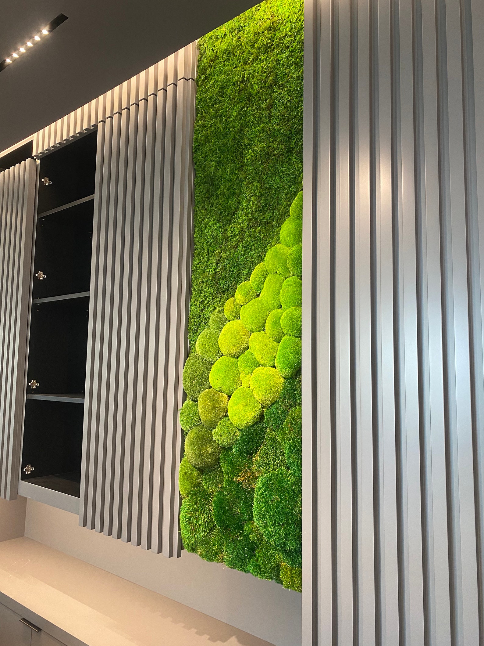 Green Wall. Living Wall. Office Wall Art. Custom Size Moss Etsy