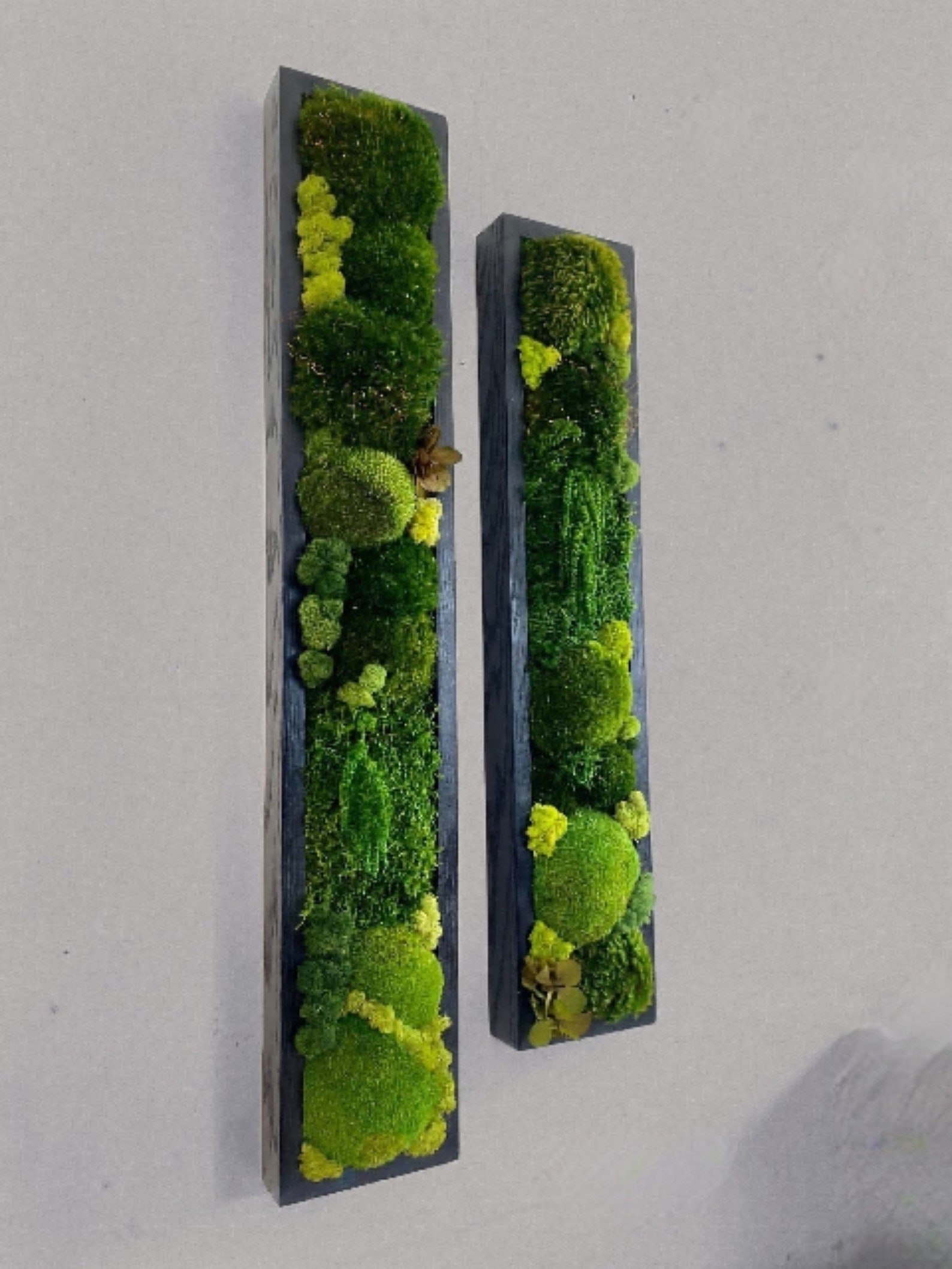Moss Wall Art. Moss Wall. Moss Art Panels. Green Wall Art. Etsy UK