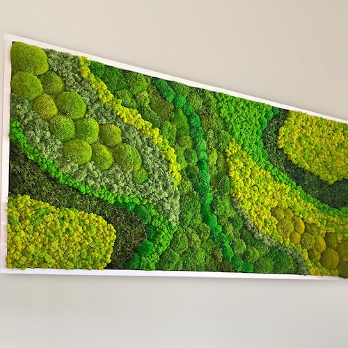 Moss Wall Art. Moss Art. Green Wall Art. Wall Decor. Preserved - Etsy