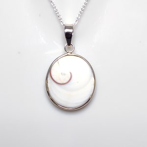 Shiva Eye Shell Necklace, Shiva Eye Shell Pendant, 925 Silver Pendant, Natural Eye of Shiva Necklace, Shiva Eye Jewelry, Sale
