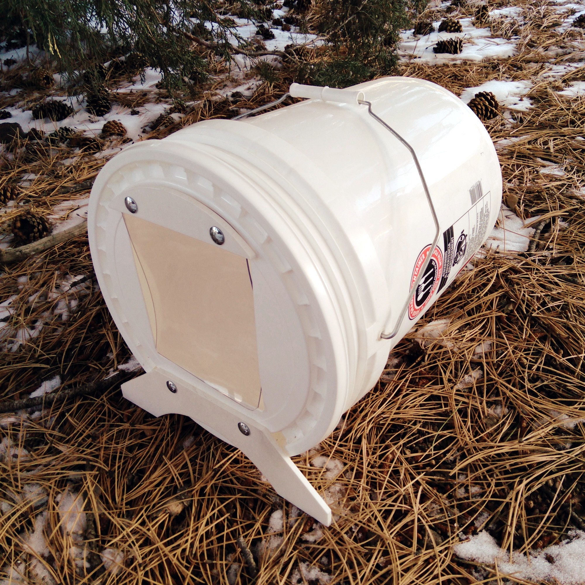 dog keeps chewing stuff