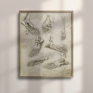 Da Vinci Anatomy Art Print: Vintage Medical Decor