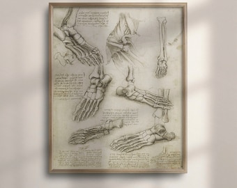 Da Vinci Anatomy Art Print: Vintage Medical Decor
