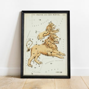 Leo Major print, antieke ruimte schilderij, vintage tekening poster kunst aan de muur, Leo Minor, horoscoop cadeau, horoscoop aanwezig | COO843