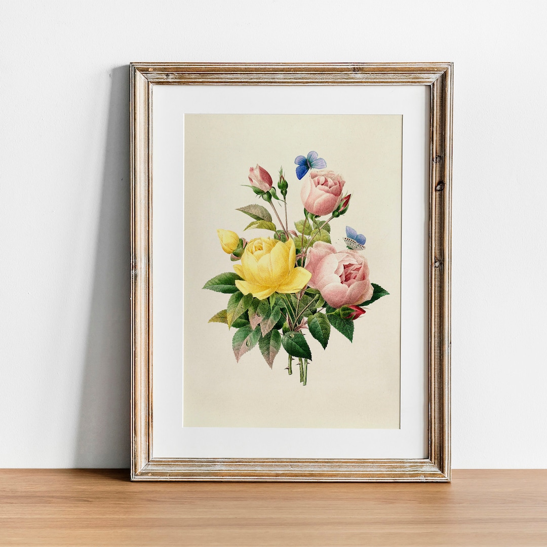 Vintage Botanical Print: Antique Rose Poster, Kitchen Wall Art - Etsy