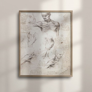 Leonardo Da Vinci Anatomical Art - Vintage Medical Wall Decor, Human Anatomy Poster, Retro Gift Idea for Doctors, Medical Students, C16-1039