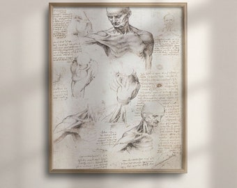 Da Vinci Anatomy Art Print: Vintage Medical Poster