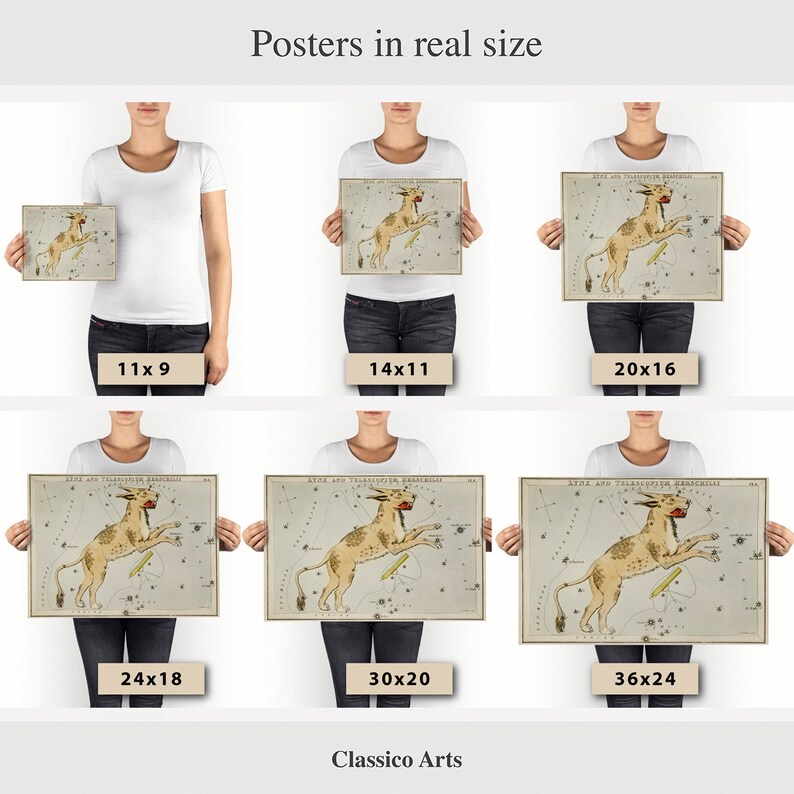 May include: A vintage poster showing a constellation chart of the constellation "Aries and Taurus" with a detailed illustration of a ram and a bull. The poster is available in various sizes, from 11x9 inches to 36x24 inches. The poster is printed on high-quality paper and is perfect for adding a touch of vintage charm to any room.
