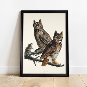 Owl Print, Antique Bird Painting, Vintage Drawing Poster Wall Art Decor, Great Horned Owl, vintage bird art, bird painting | COO304
