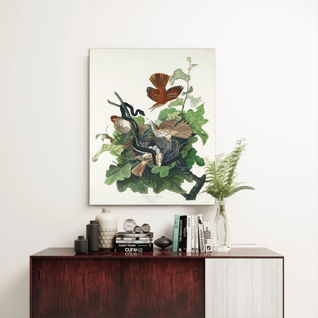 鉄ツグミのキャンバスプリント、アンティークな鳥の絵画、ヴィンテージの絵画、壁掛けアート、アンティーク彫刻、鳥の彫刻 | C403 - Etsy 日本