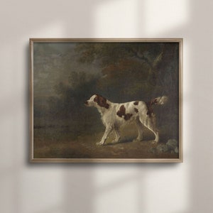 Vintage Setter Dog Canvas Art, Oil Painting Reproduction, Classic Animal Art, Farmhouse Style Wall Decor, C16-512