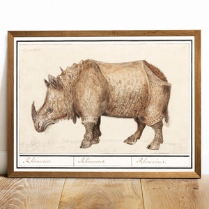 Antique Rhinoceros Print: Vintage Animal Drawing Poster