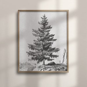 Decoración de pared de cabaña rústica, boceto de árbol de pino vintage, arte de pared de dibujo a lápiz, cartel inspirado en la naturaleza, arte de árbol único, bosque, C16-818