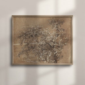 Antique Botanical Tree Sketch, Rustic Wall Decor, Vintage Home Decor, Neutral Artwork, Farmhouse Print, C16-413
