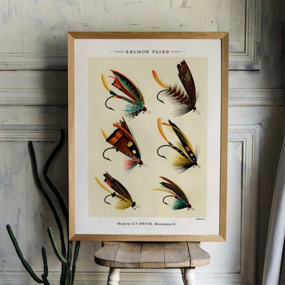 Salmon Flies Fish Print, Vintage Fishing Poster Wall Art Decor