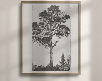 Antique Tree Sketch Print: Vintage Botanical Wall Art