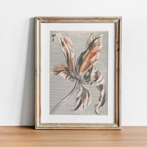 Tulip Print, Vintage Botanical Poster Wall Art Decor,  kitchen art,  flower art, flower wall art | CO641