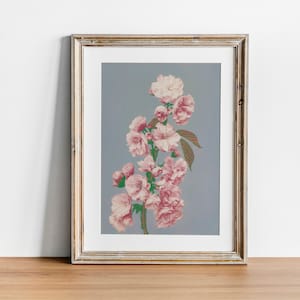 Cherry Blossom Print, Vintage Botanical Poster Wall Art Decor,  kitchen art,  kitchen art work, food art poster | CO640