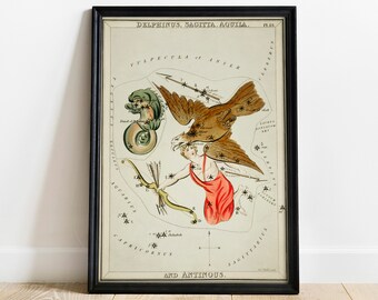 Antique Constellation Print: Delphinus, Sagitta, Aquila, Antinous
