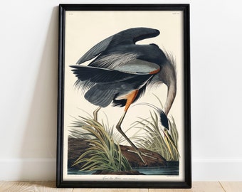 Heron Print, Antique Bird Painting, Vintage Drawing Poster Wall Art Decor, Great Blue Heron, bird lover gift, bird lover gifts | COO320