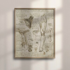 Vintage Da Vinci Anatomy Artwork, Medical Decor, Human Body Illustration, Anatomical Poster, Unique Medical Graduation Gift, C16-945