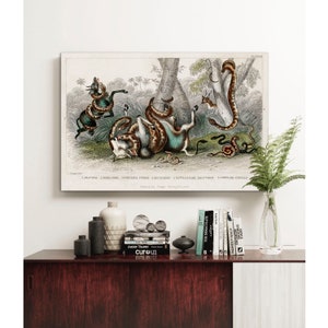 May include: An antique illustration of a snake attacking a deer. The snake is wrapped around the deer's neck and body. The deer is struggling to break free. The illustration is in a vintage style with a brown background and green foliage.