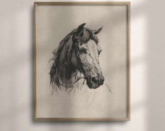 Antique Horse Sketch Print: Vintage Equestrian Art, Farmhouse Decor