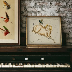 May include: A vintage illustration of the constellation Aries, featuring a ram with a golden fleece and a small green fly. The illustration is framed in a gold frame and is displayed on top of a vintage piano.