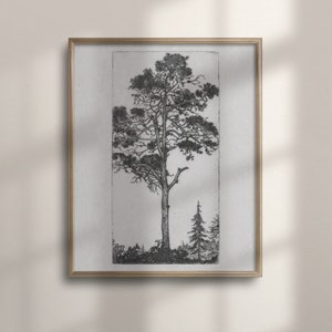 Vintage Tree Sketch, Primitive Botanical Etching Drawing, Rustic Wall Decor, Antique Wall Art, Botanical Wall Art, Rustic Tree Art, C16-798