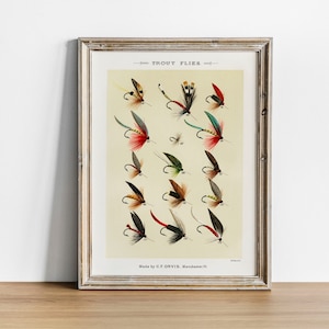 Trout Flies Fish Print, Vintage Fishing Poster Wall Art Decor,  Gift For Dad, Man, Fisherman Cabin poster Cabin print | COO49