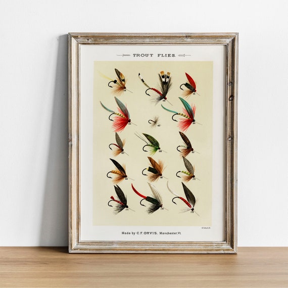 Trout Flies Fish Print, Vintage Fishing Poster Wall Art Decor