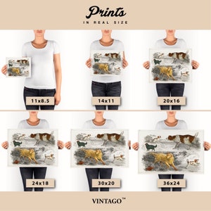 Dogs Print, Antique Animal Painting, Vintage Drawing Poster Wall Art