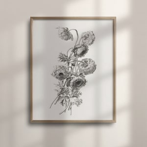 Vintage Botanical Sketch, Neutral Flower Drawing, Antique Floral Art, Minimalist Wall Decor, Winter Landscape, Christmas Home, C16-772
