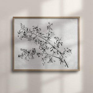 Vintage Botanical Sketch, Neutral Flower Art, Farmhouse Decor, Minimalist Wall Art, Poster Print, Vintage Poster, C16-93