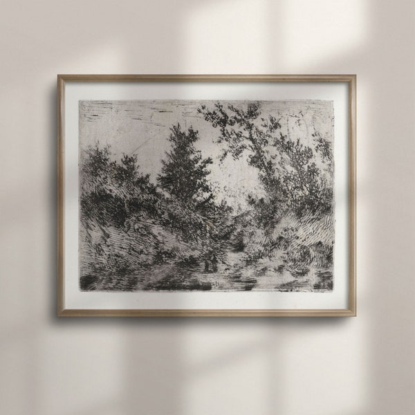 Antique Forest Sketch, Vintage Etching Print, Fine Art Poster, Black and White Tree Art, Unique Birthday Gift, C16-670