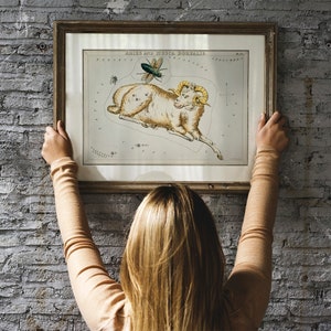 May include: A framed vintage illustration of the constellation Aries, depicting a ram with a fly above it. The illustration is in black and white with accents of gold and green. The title "Aries and Musca Borealis" is printed at the top of the illustration.
