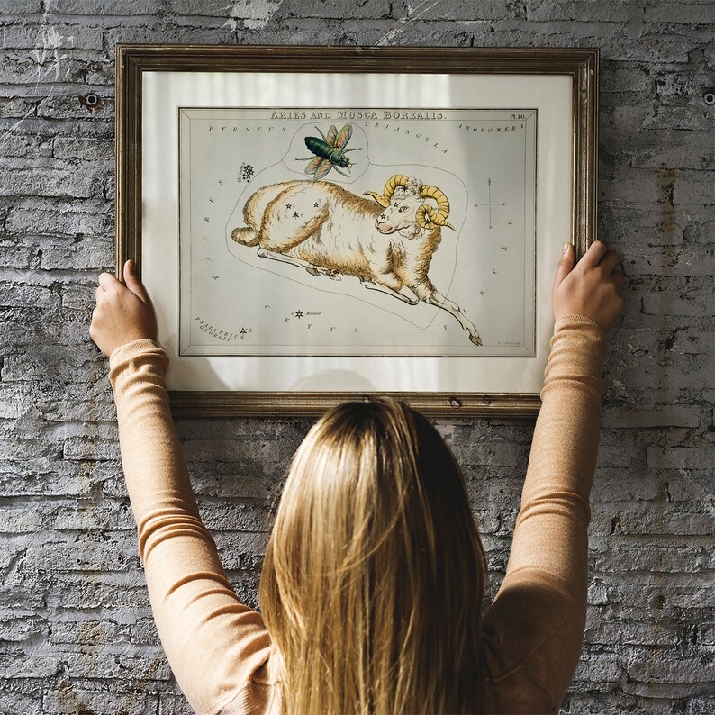 May include: A framed vintage illustration of the constellation Aries, depicting a ram with a fly above it. The illustration is in black and white with accents of gold and green. The title "Aries and Musca Borealis" is printed at the top of the illustration.